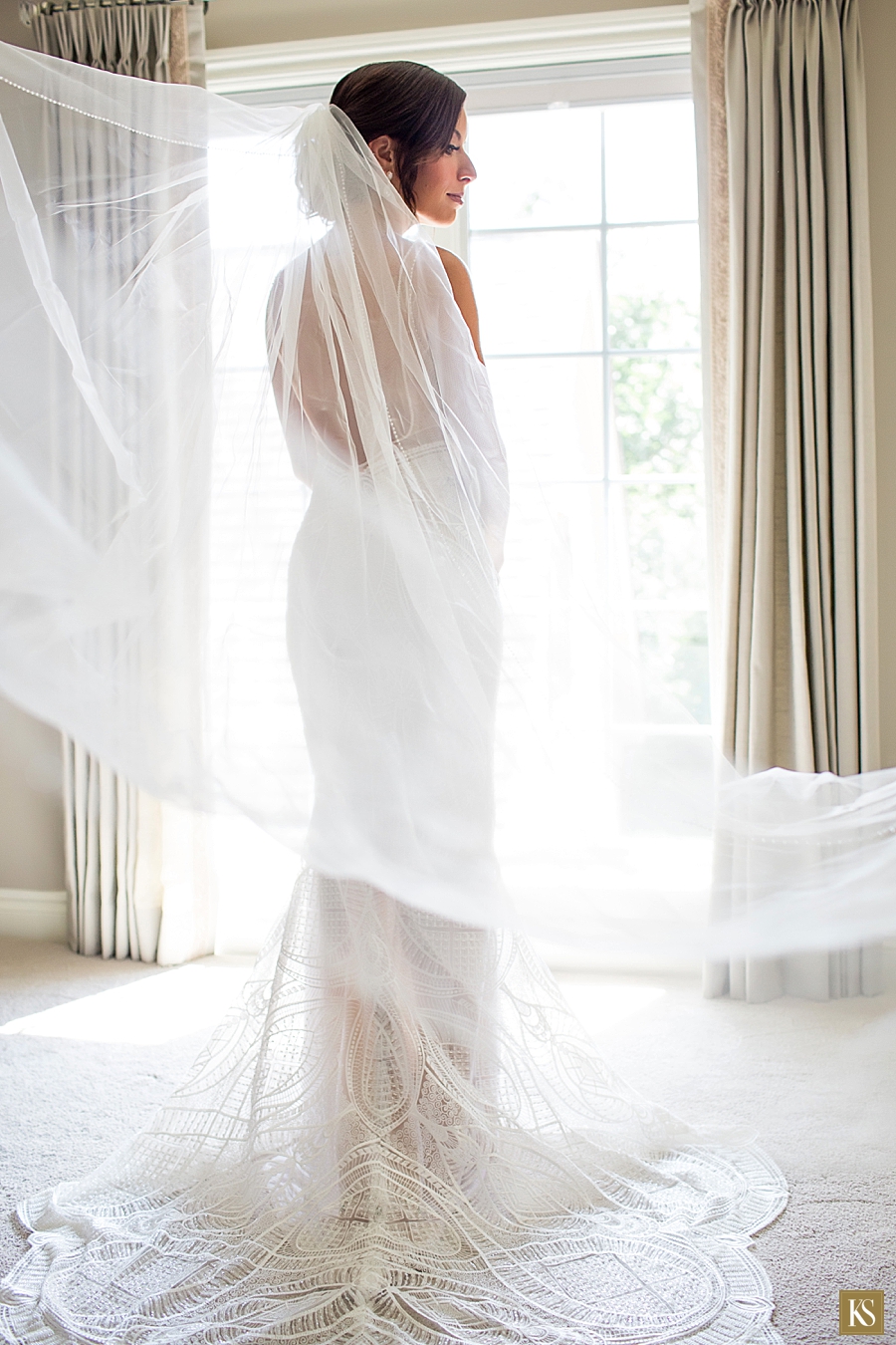 Gorgeous veil photograph
