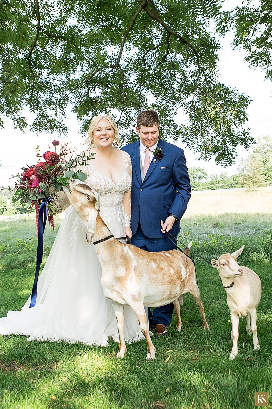 Zingerman Cornman Farms Wedding Goat