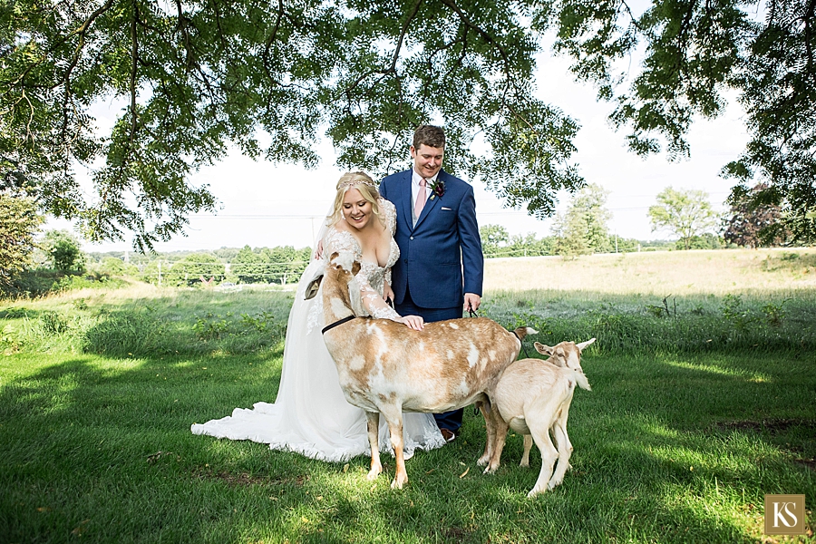 Zingerman Cornman Farms Wedding Goat